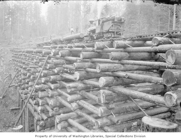 Schwarzes und weißes Foto eines Holzfällerlastwagens, der neben einem Holzstapel in einem bewaldeten Gebiet geparkt ist, mit mehreren Menschen auf den Holzstämmen und Bäumen im Hintergrund.