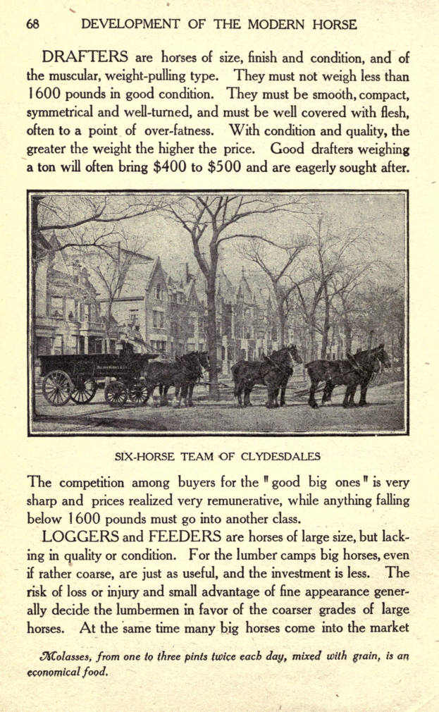 Ein abgenutztes Buch mit einer Schwarz-Weiß-Illustration eines horse-drawn carriage im Vordergrund, vor einem Hintergrund von Bäumen und Gebäuden, mit sichtbarem Text auf der Seite.