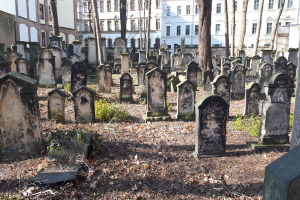 Ein Friedhof mit zahlreichen Grabsteinen und Bäumen, umgeben von Gebäuden mit Fenstern.
