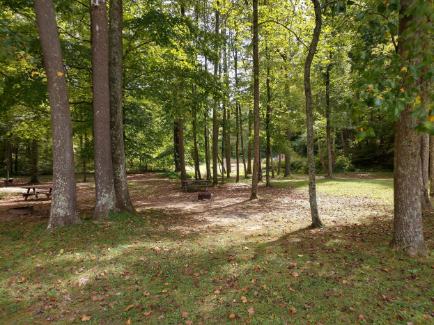 Ein Park mit verstreuten Bänken umgeben von Bäumen mit bunten Herbstblättern auf dem Boden.