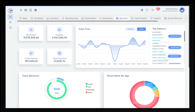 Ein Laptop-Bildschirm zeigt ein Finanzmanagement-Dashboard mit Diagrammen und Text auf einem weißen Hintergrund mit einem blauen Header.