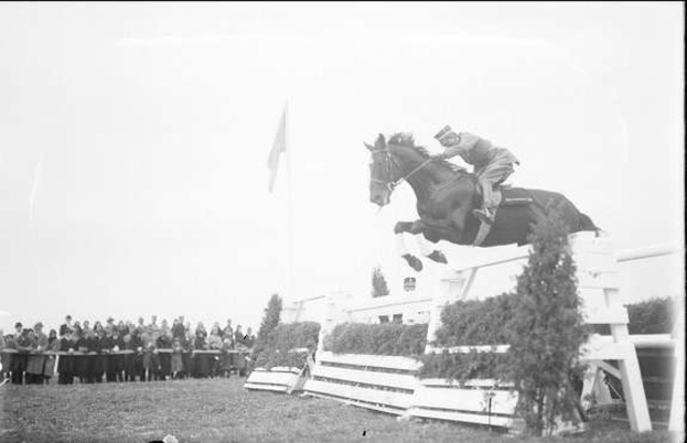 Schwarz-weißes Foto eines Pferdes und Reiters, die über ein Hindernis springen, bei den Royal Ascot Horse Trials 1953, mit Zuschauern, einer Fahne und Gras im Hintergrund.