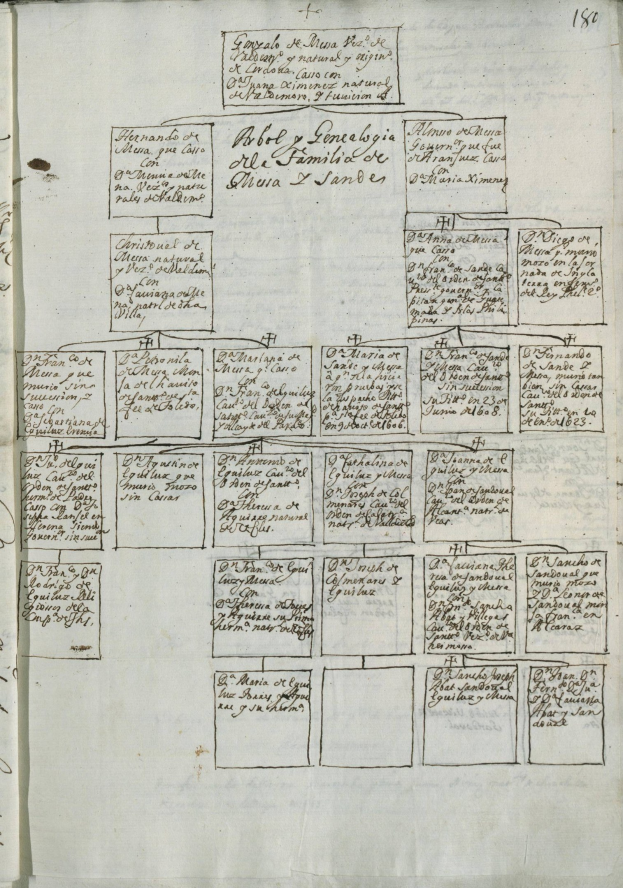 Offenes Buch mit einer handgezeichneten Familienbaum-Illustration auf seinen Seiten, umgeben von dichtem Text und numerischen Einträgen.