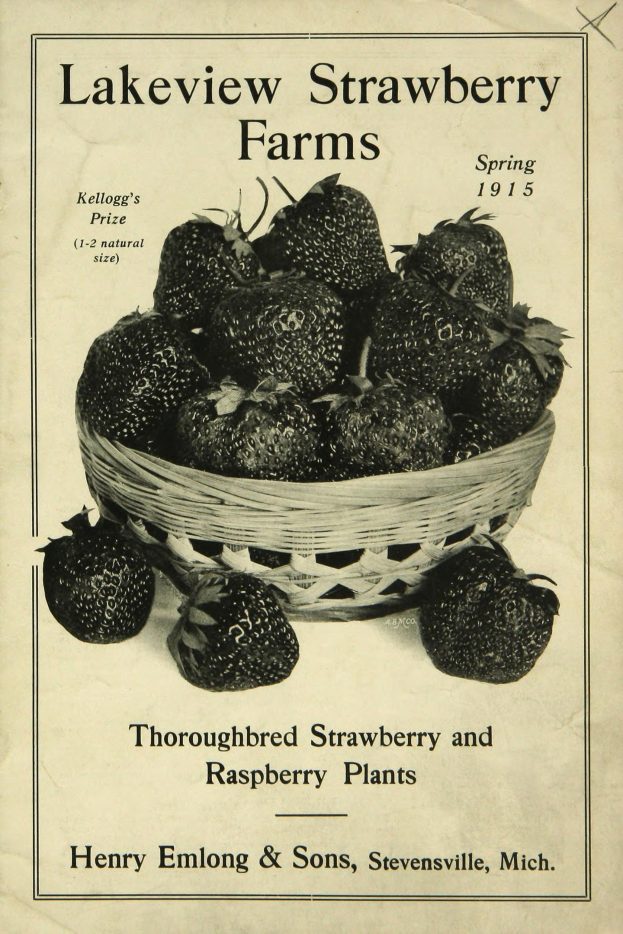 Plakat aus dem Frühjahr 1915, das Lakeview Erdbeerfarmen bewirbt und einen Korb reifer roter Erdbeeren zeigt, mit der Aufschrift "Zuchtstamm Erdbeeren und Himbeeren."
