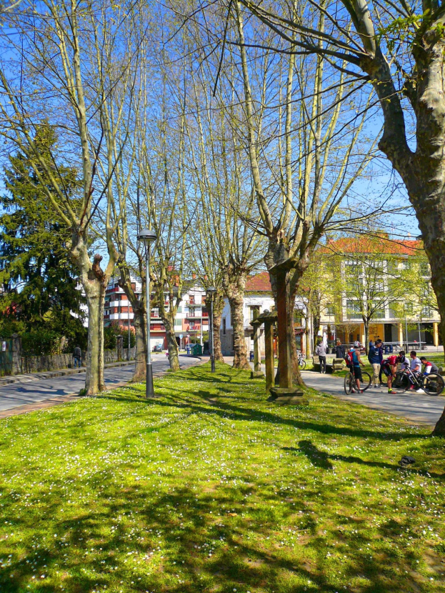 Ein Park mit grünem Gras und Bäumen, Menschen zu Fuß und Rad fahren auf einer Straße, mit Gebäuden und einem klaren blauen Himmel im Hintergrund.