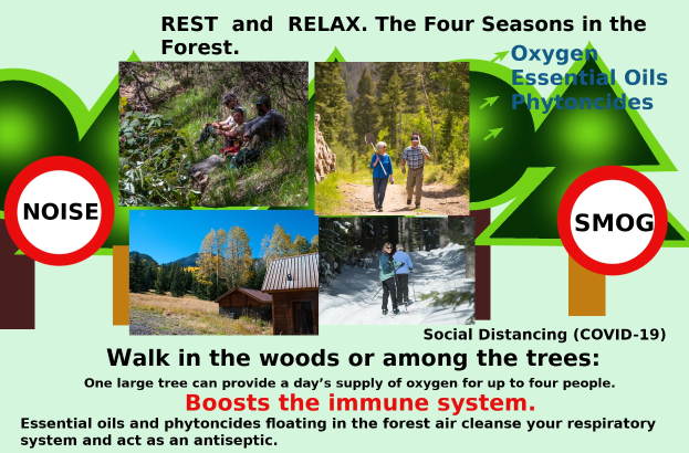 Ein Plakat mit dem Titel "Ruhe und Entspannung die vier Jahreszeiten im Wald" zeigt Bilder von Menschen, die durch einen bewaldeten Bereich mit Bäumen und einem Haus gehen und die Entspannung in der Natur fördern.