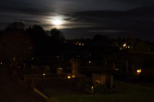 Düsseldorf: Nordfriedhof leuchtet in Sonderlicht an Allerheiligen