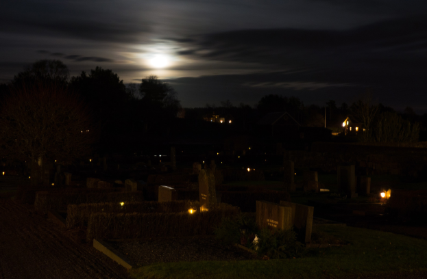 Düsseldorf: Nordfriedhof leuchtet in Sonderlicht an Allerheiligen