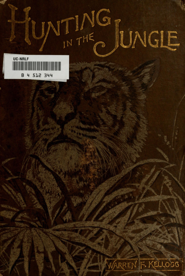 Buchumschlag mit einem tiefen Orangefarbenen Tiger, der in hohem Gras steht und von dichtem Grün umgeben ist, mit Bäumen im Hintergrund; Titel "Jagen im Dschungel" und Strichcode unten sichtbar.