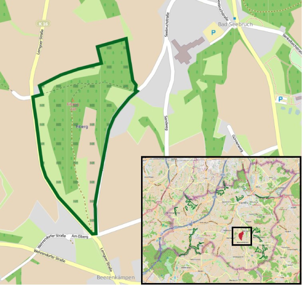 Ein detaillierter Stadtplan mit einem zentralen Grünbereich, der als geplanter Entwicklungsstandort markiert ist, umgeben von Straßen, Gebäuden und Sehenswürdigkeiten.