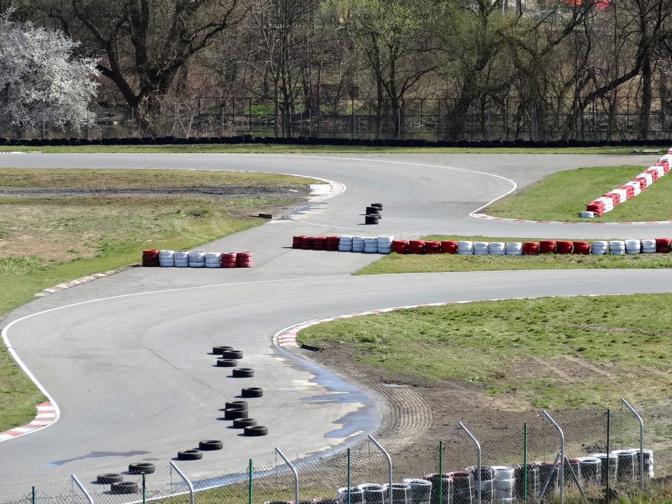 Zwei Frauen in Laufkleidung mit ausgestreckten Armen auf einer grünen Laufbahn unter einem blauen Himmel, auf dem Cover von 'Track & Field News' abgebildet.